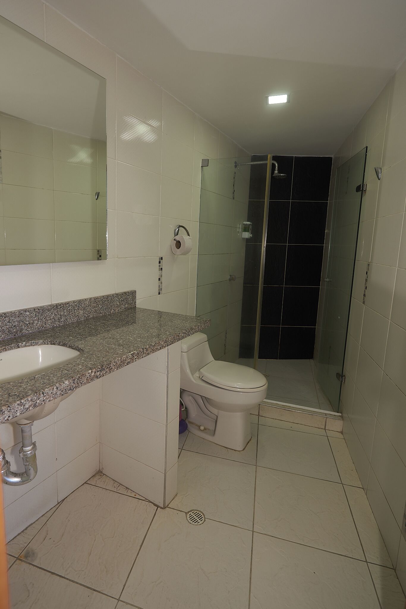 Un bagno con lavandino, WC e zona doccia.