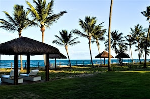 Vue sur la plage/l’océan