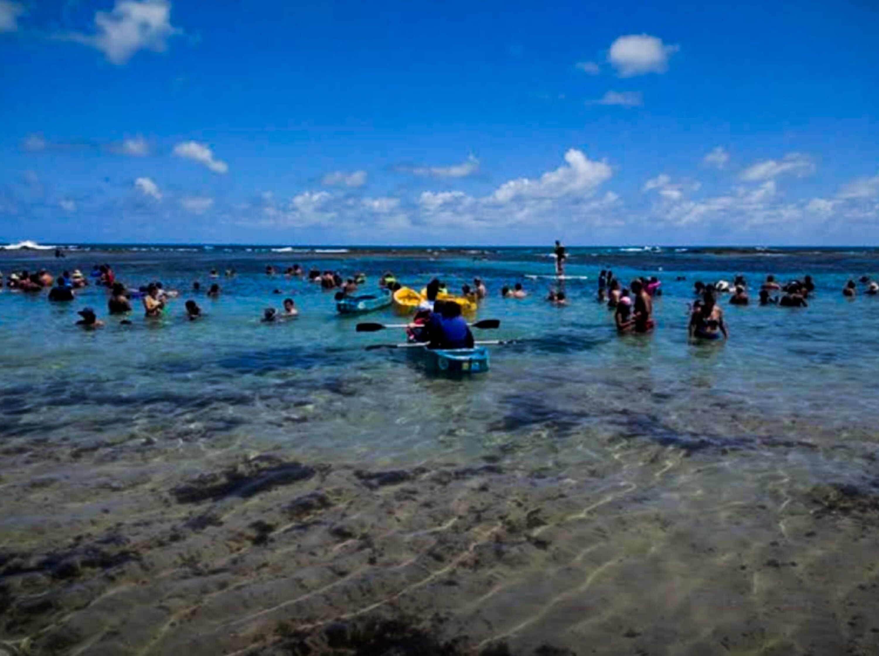 Una playa concurrida, gente nadando y practicando kayak.