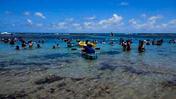 Una playa concurrida, gente nadando y practicando kayak.