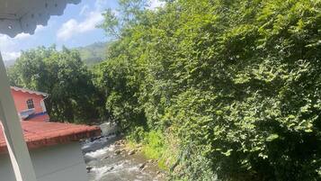 A river flowing through a forested area with a building in the background.