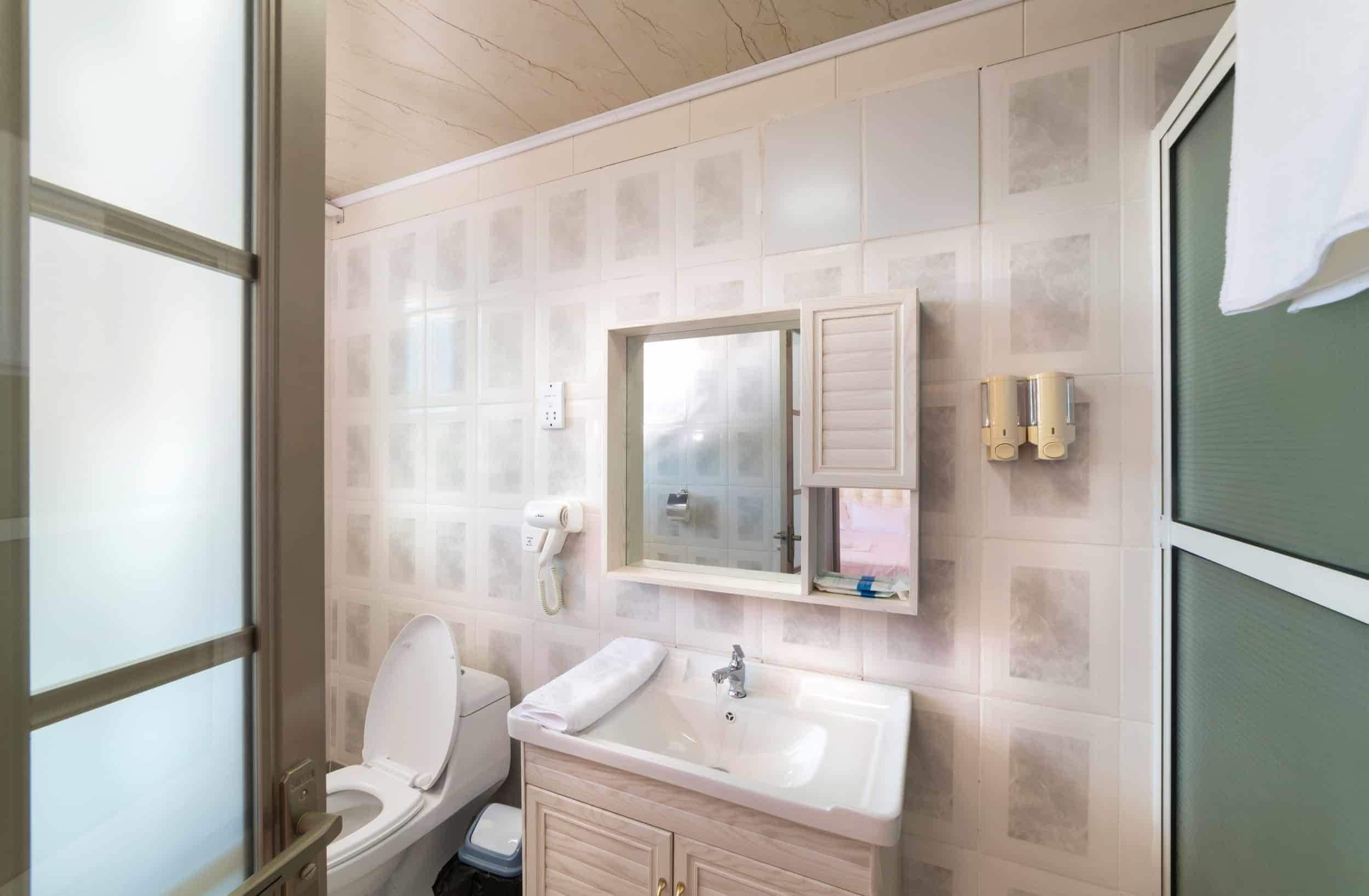 A bathroom with a toilet, sink, and mirror.