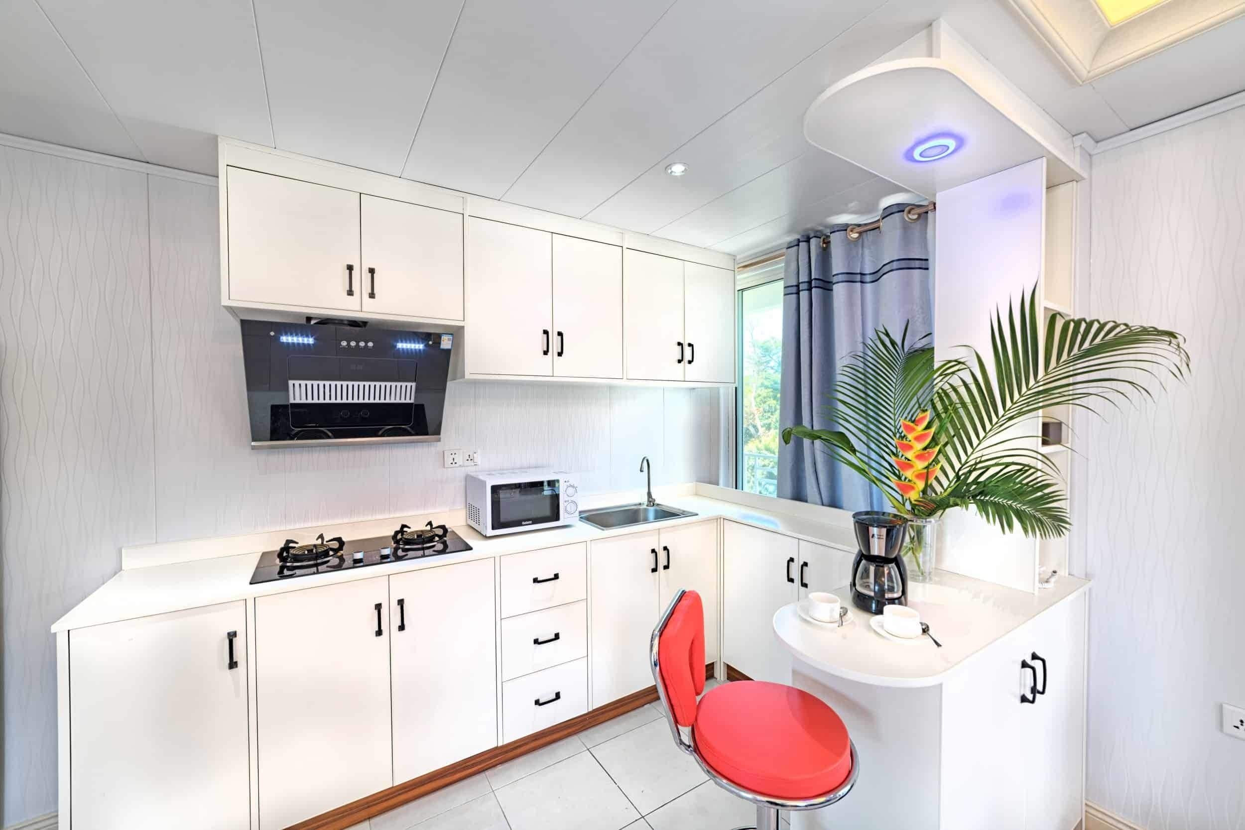 Central View Suite | 私人厨房 | 冰箱、微波炉、烤箱、炉灶