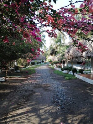 Unclassified image, 5 of 26, button - Cabanas Praba (Dibulla)
