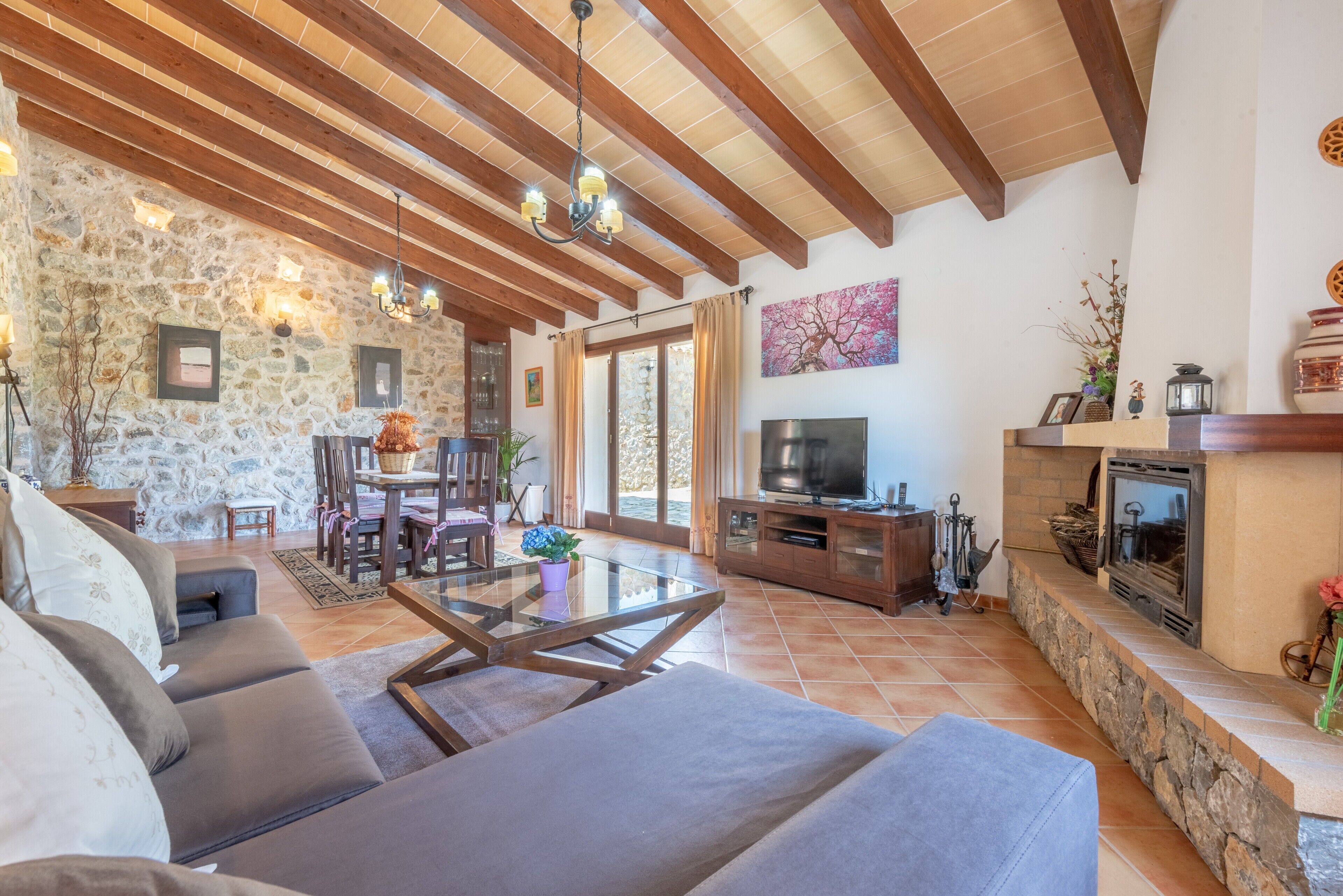 TV, peis, DVD-spiller og stereoanlegg