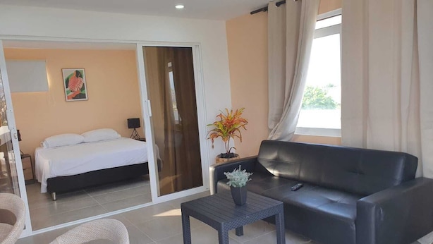 A hotel room with a bed, a sofa, a small table, and a potted plant. - Caribbean Sea Breeze (San Andrés)