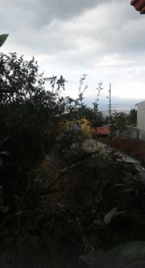 Vista desde la habitación