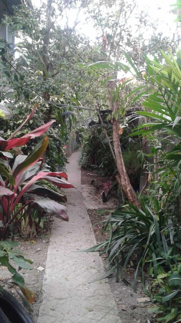 Jardín