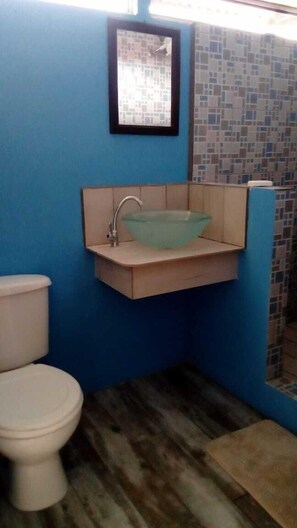 Regadera, amenidades de baño gratuitas, secadora de cabello, toallas