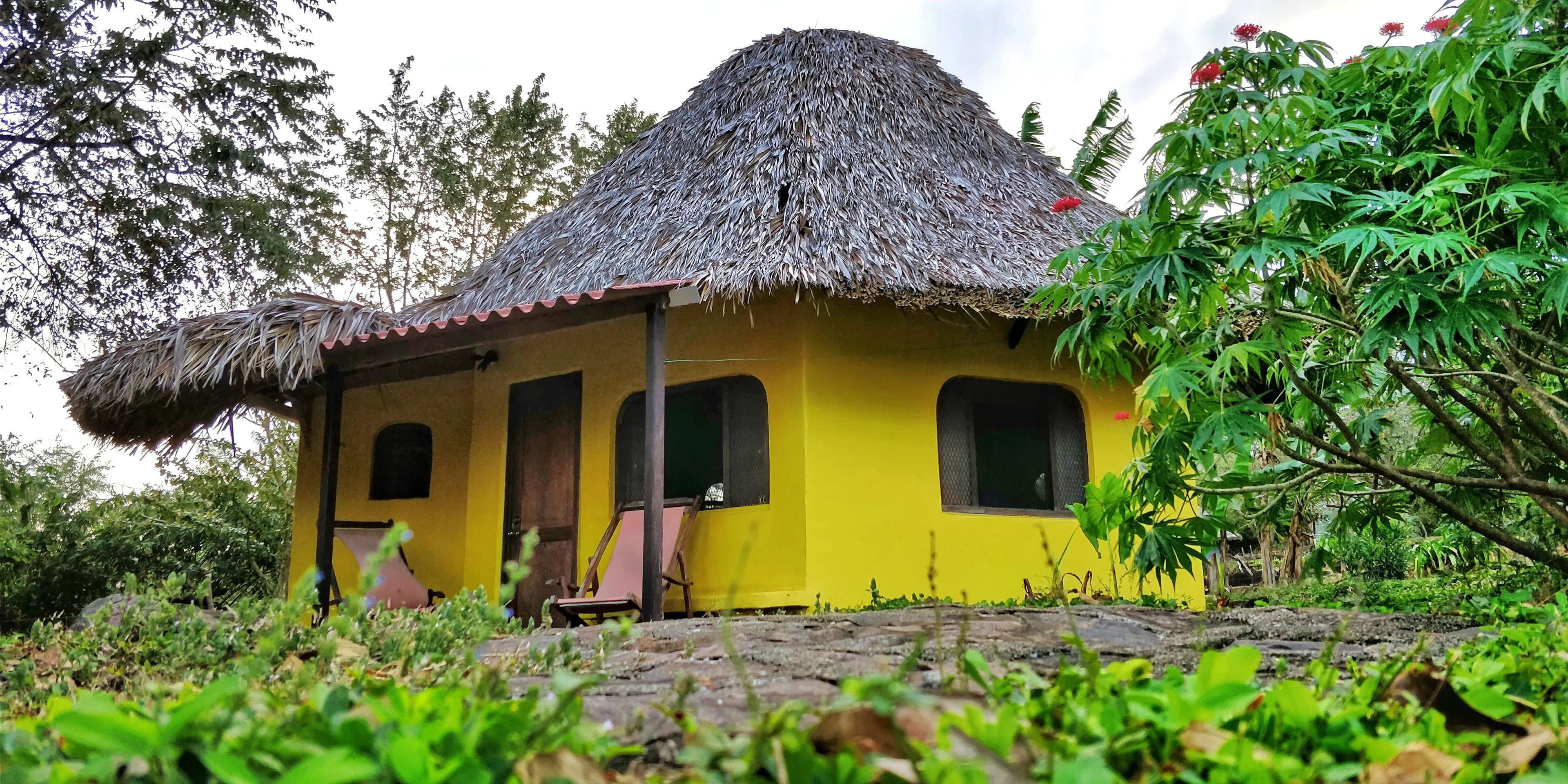 A yellow building with a thatched roof, surrounded by greenery.