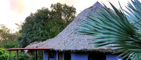 Teras/patio