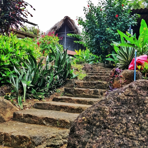 Exterior detail - Finca del Sol Eco Lodge (Altagracia)