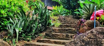 Finca del Sol Eco Lodge