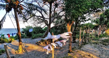Finca del Sol Eco Lodge