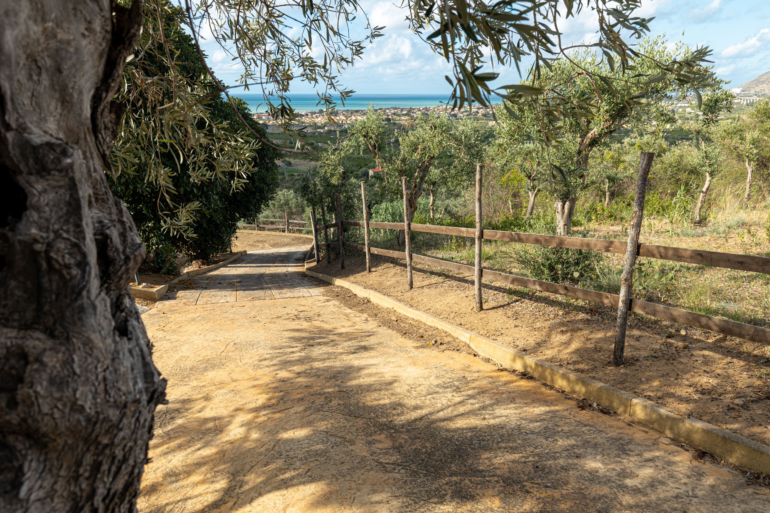 A paved pathway leading to a fenced area with trees and a view of the sea.