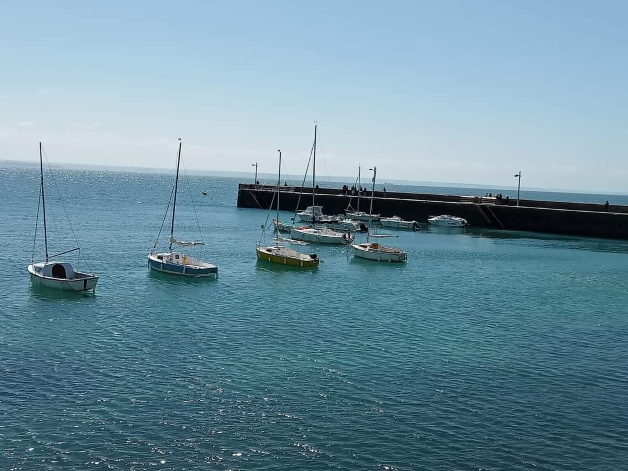 Un port de plaisance où plusieurs bateaux sont amarrés à un quai.