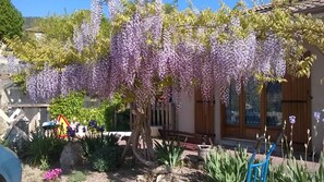 A garden with a tree covered in purple flowers, a wooden bench, and a house with large windows. - Self-catering cottage in Ardeche Verte, 5km from Peaugres (Annonay)