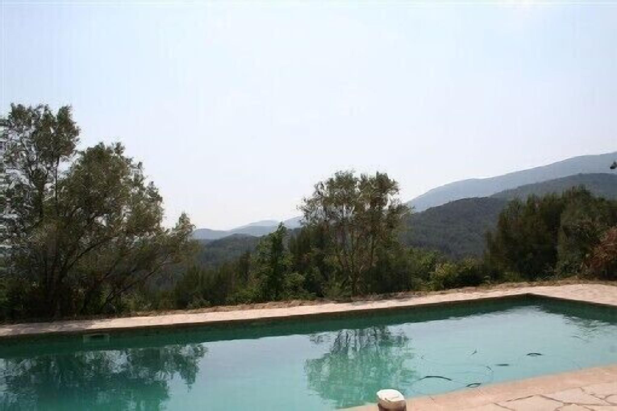 A rectangular pool with clear water, surrounded by trees and mountains in the background.