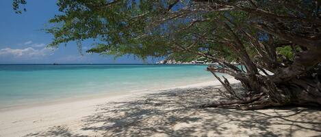 Serviettes de plage