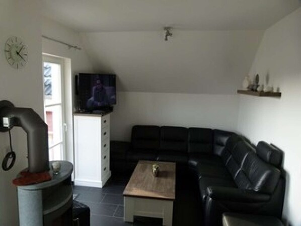 TV, fireplace, DVD player, books