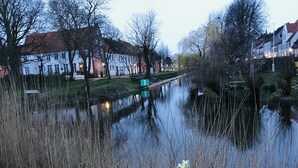 Un río tranquilo con narcisos en primer plano, rodeado de árboles y edificios con tejados rojos al fondo.