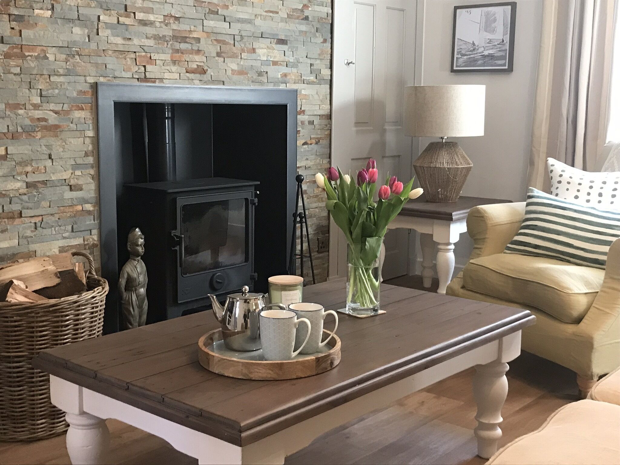 智能电视、壁炉、DVD 播放器、书