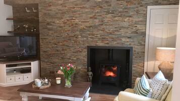 Smart TV, chimenea, reproductor de DVD, libros