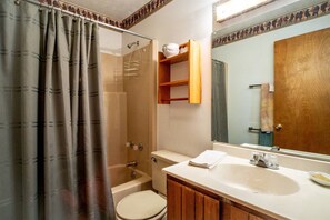 Bathroom - Dancing Bear - Private Wooded Lot, Dog Friendly (Davis)