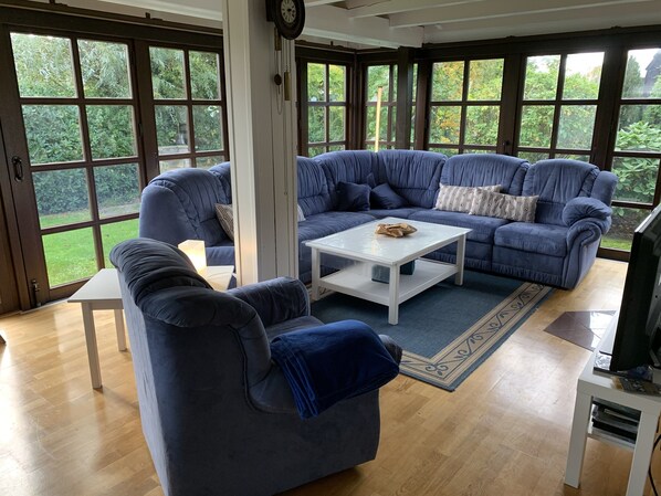 TV, fireplace, video games, DVD player