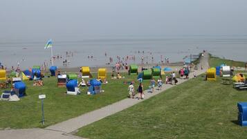 Playa en los alrededores y camastros