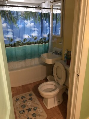 Combined shower/bathtub, towels, soap, shampoo - Rustic Beach Front Apartment - Cozy, Rustic and On the Beach! - 2 BR/1 Bath (Norfolk)