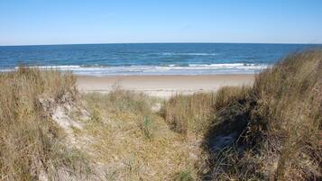 Plage, chaises longues