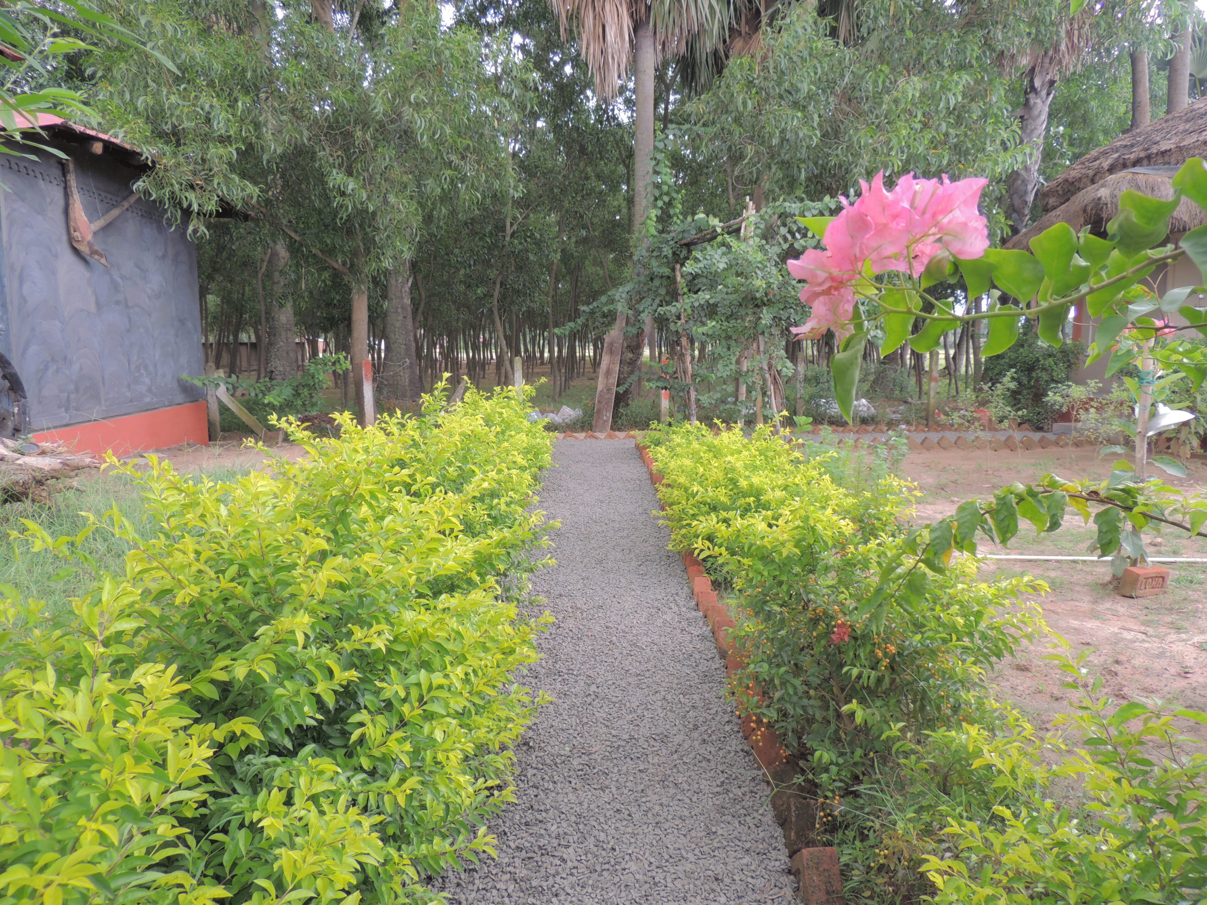 Jardines del alojamiento