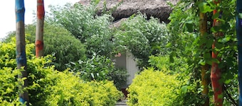 CHOTTONEER HOMESTAY.