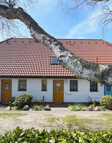 Terraced house with south-west-facing terrace, garden, for max. 4 p., pets allowed, WLAN