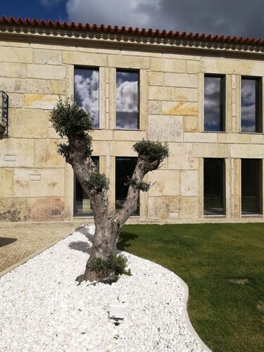 Cortegaça Talo Vieira do Minho