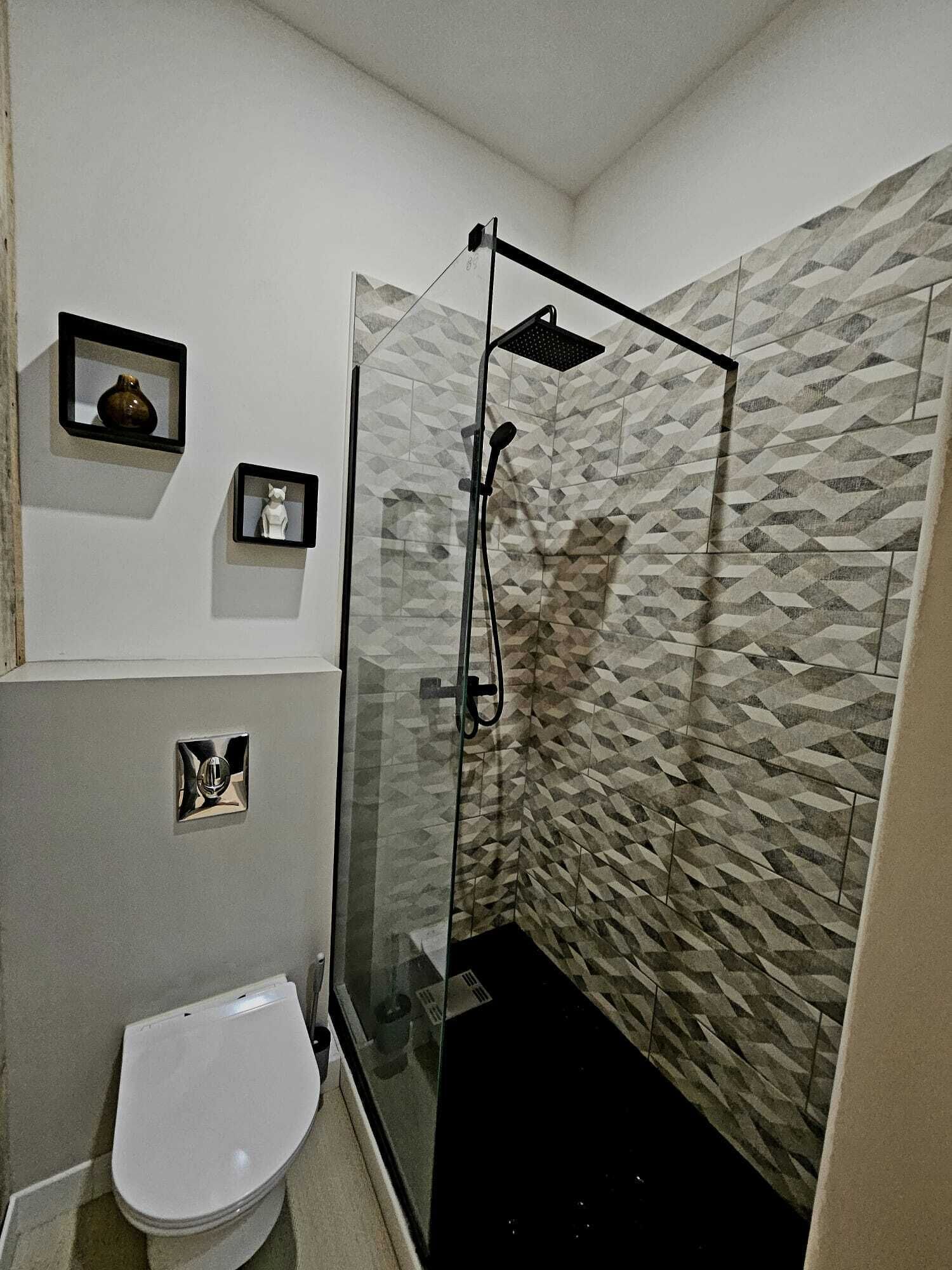 A bathroom with a glass-enclosed shower, a toilet, and two framed items on the wall.
