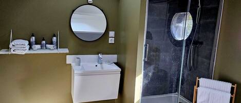 Une salle de bain moderne avec une douche à parois de verre, un lavabo et un miroir.