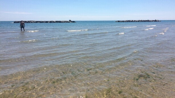 A beach with clear shallow waters and distant rocky outcrops. - Linda apartment, 300 meters from the sea in a typical cottage perfect for families (Martinsicuro)