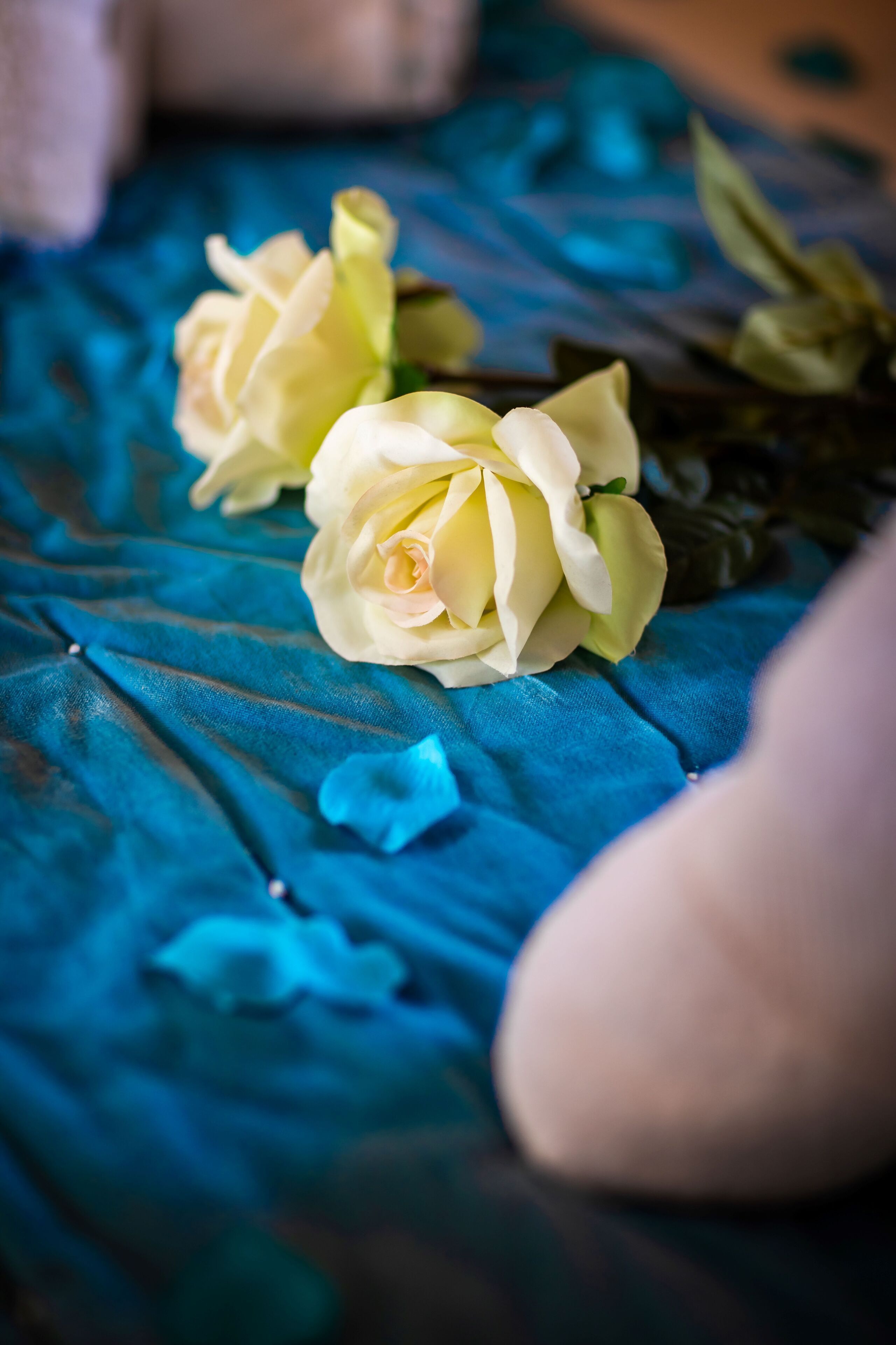 Een blauw stoffen oppervlak met een witte roos en groene bladeren.