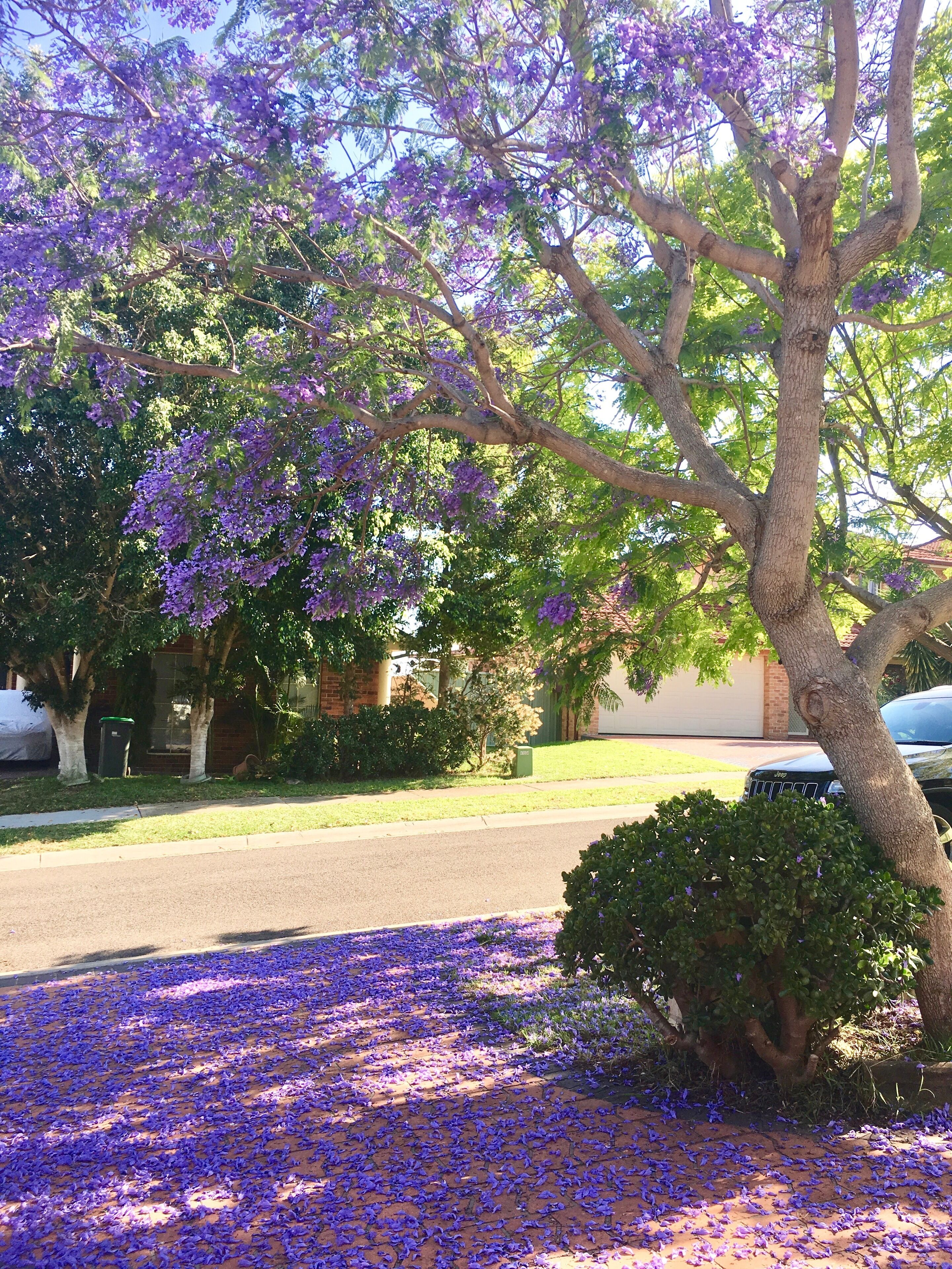 STUNNING RENOVATED HOME CLOSE TO SYDNEY — image 27