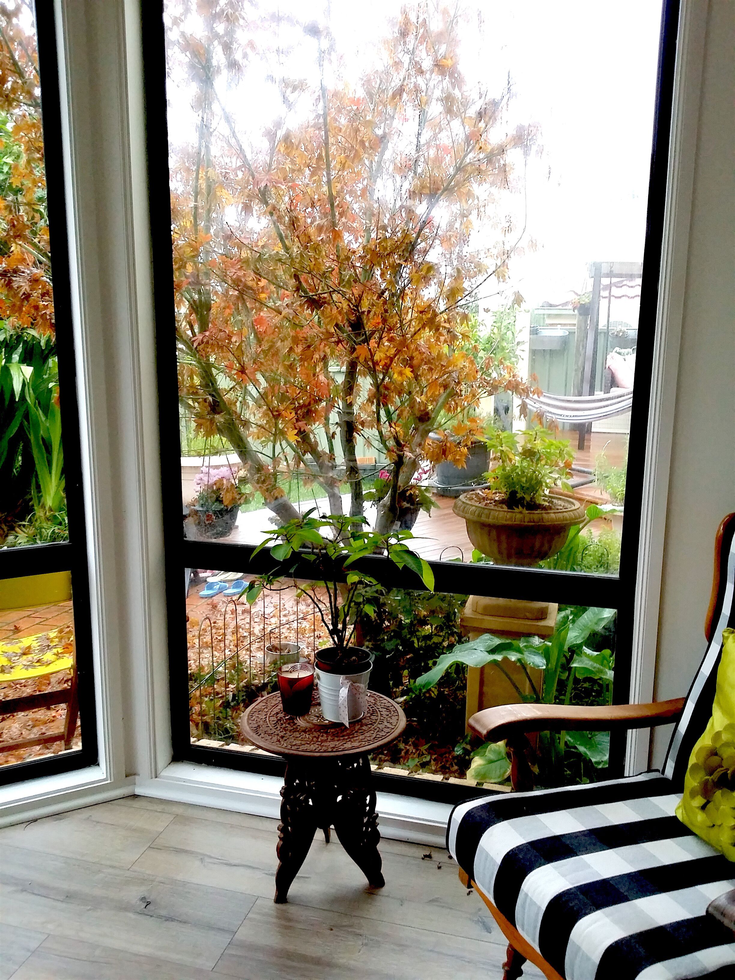 STUNNING RENOVATED HOME CLOSE TO SYDNEY — image 3