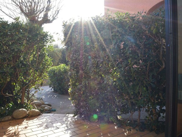 المنطقة المحيطة بالمنشأة