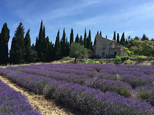 Viehättävän kiven vuokrata Drome Provençalea luonnossa