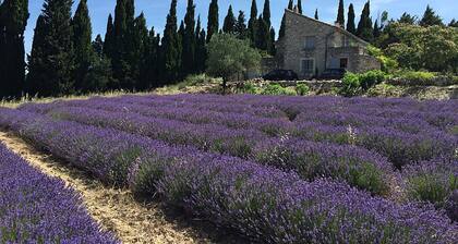 Viehättävän kiven vuokrata Drome Provençalea luonnossa