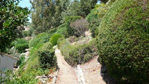 A narrow, stone-paved path winding through a lush, green landscape with dense shrubbery and trees. - 800m from the sea, pretty Provencal villa, quiet, swimming pool, garden in the Golf St. Tropez (Roquebrune-Sur-Argens)