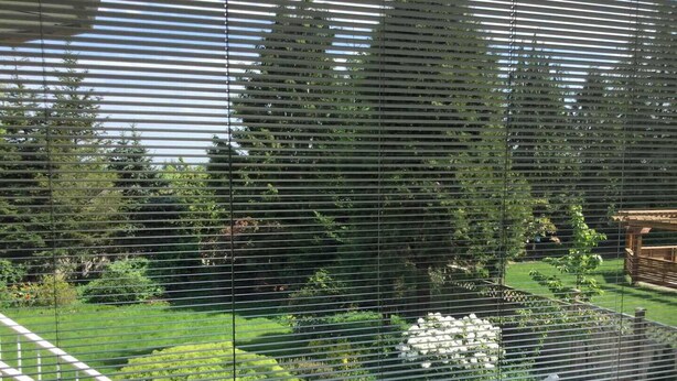 A view through a window with horizontal blinds, revealing a well-maintained garden with various plants and a small white flower bed. - Family home in Surrey (Surrey)