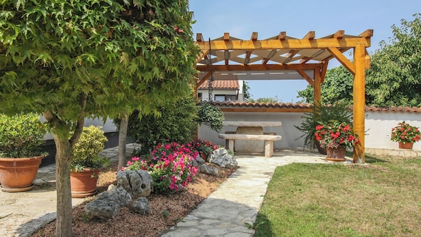 A garden with a pergola, potted plants, a stone pathway, and a stone bench.