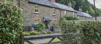 Robins Brook, Porlock