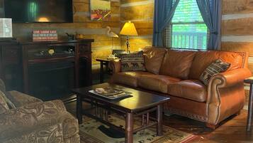 Smart TV, fireplace, DVD player, video library